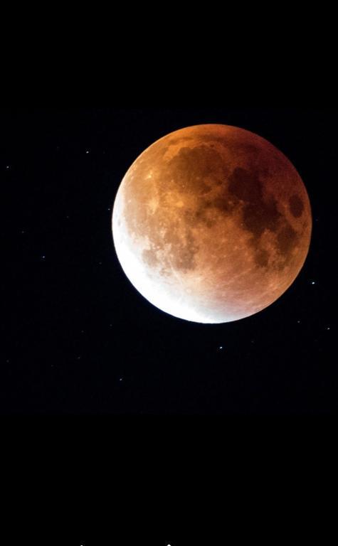 Luna Costinesti Esterno foto